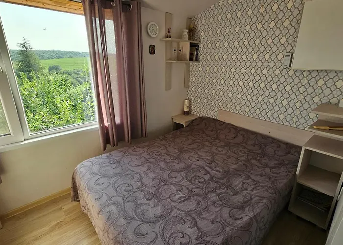 авлига Варна