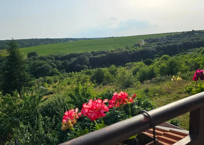 Tatil Evi авлига