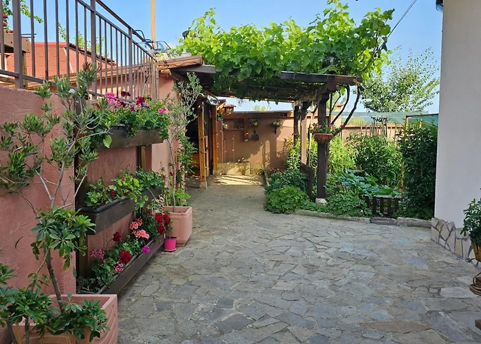 авлига Варна